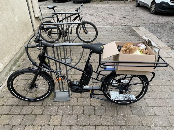Robert Bikes - Photo 4