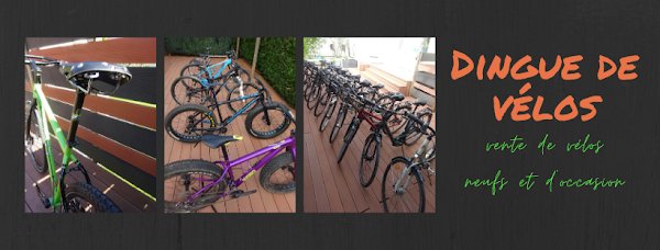 Dingue de vélos - Photo 4