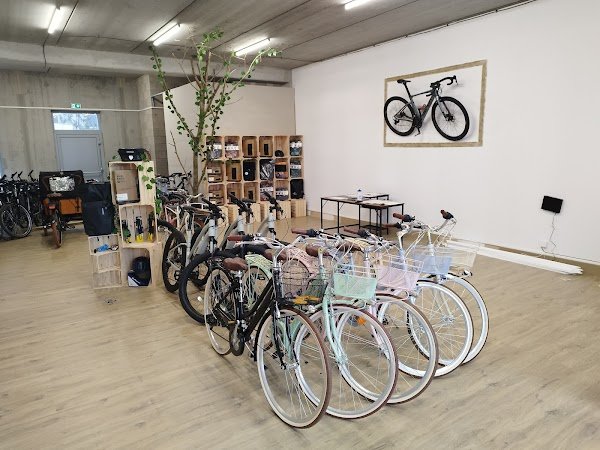 LOCATION VELO DUNKERQUE ( LVDK ) - Photo 3