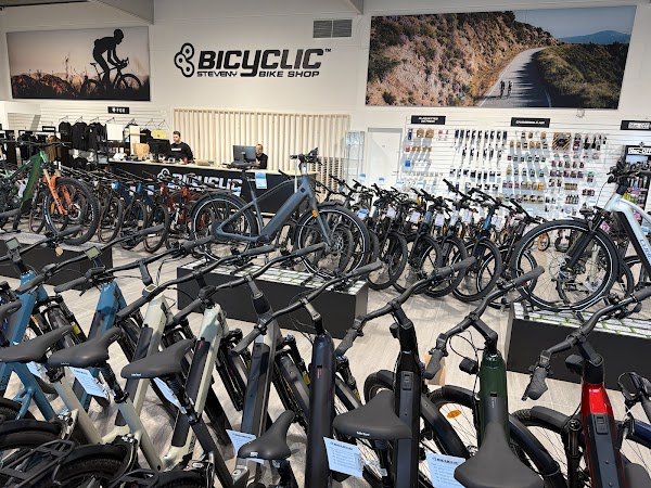 Bicyclic Tournai (Ex Want You Bike) - Photo 2