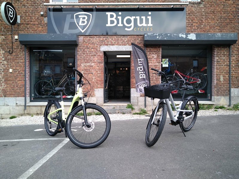 Bigui Cycles