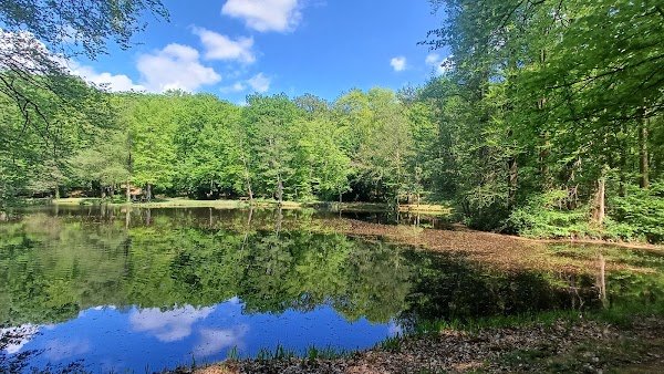 Le Perche à Vélo - Photo 4