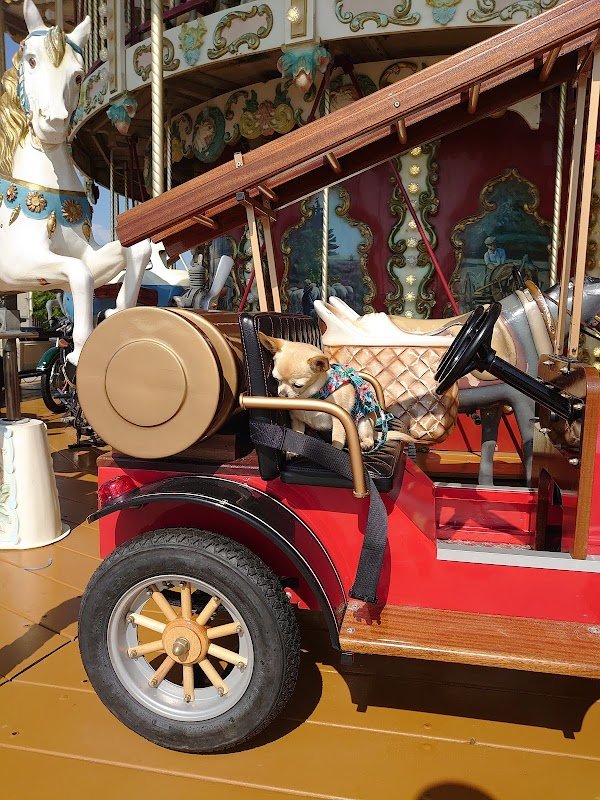 Decathlon Le Touquet - Photo 2