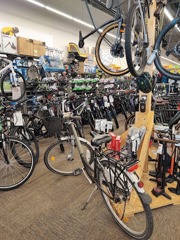 Intersport Berck Sur Mer - Photo 3