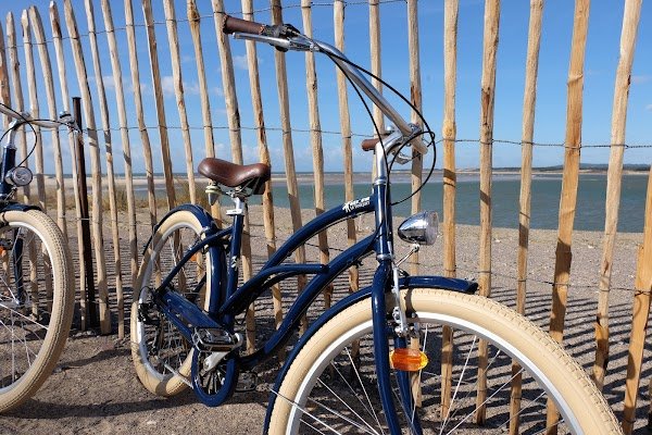 Bike for You - Photo 4