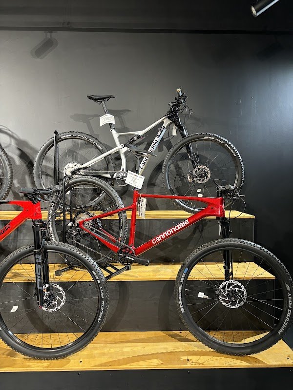 Terre de Vélo Boulogne - Photo 3