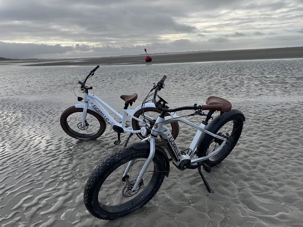 Love Hardelot - Photo 4