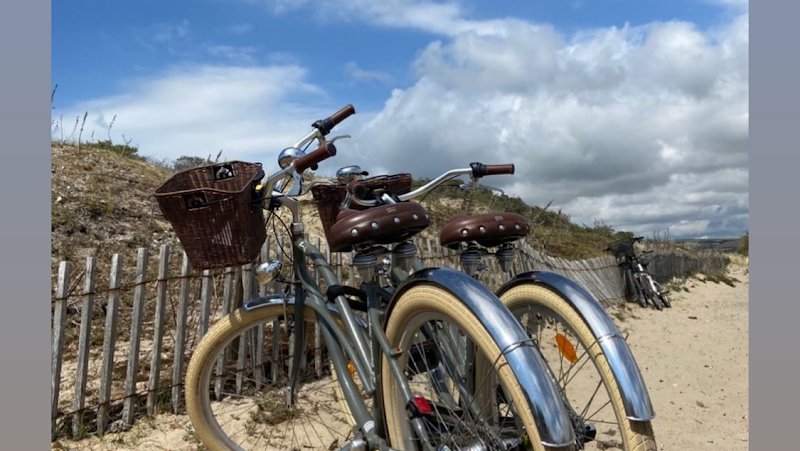 La Baleine Royale - location de vélos
