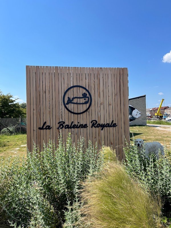 La Baleine Royale - location de vélos - Photo 3