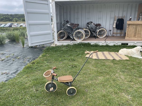 La Baleine Royale - location de vélos - Photo 4