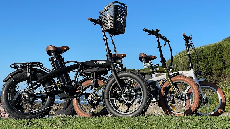 BIDART BIKE LOCATION VENTE DE VELO ELECTRIQUE