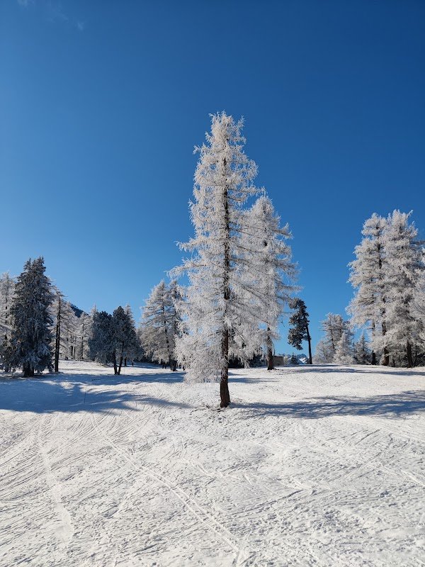 Sport 2000 Altitude Ski Service - Location ski Luz Saint Sauveur - Photo 2