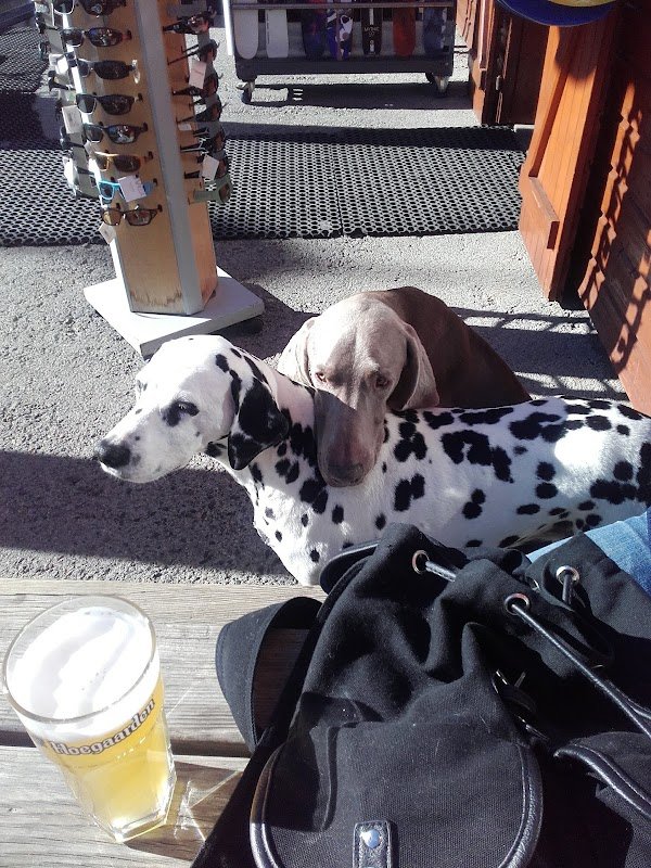 Top Ski Slides - Photo 4