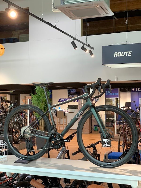 Giant Sélestat - Photo 2