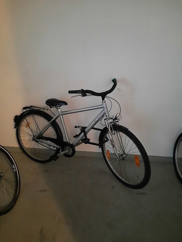 DS Vélo - Photo 5