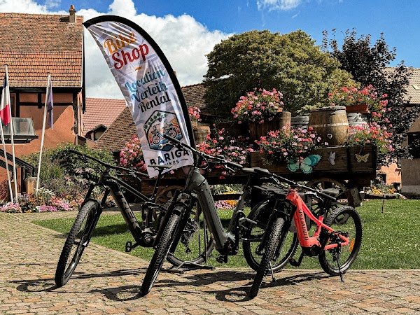 Bariga Bikes - Photo 2