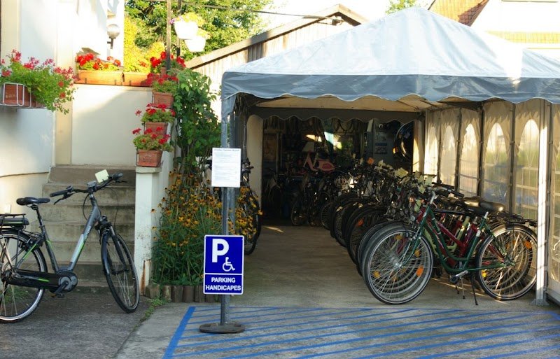 Workshop Cycles Boss