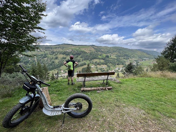 Green Mojo - Photo 2