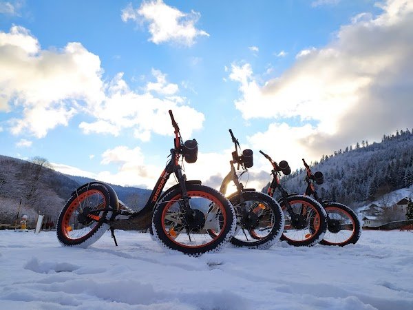 Green Mojo - Photo 3