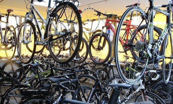 D.I.B. Engler Danny - Photo 4