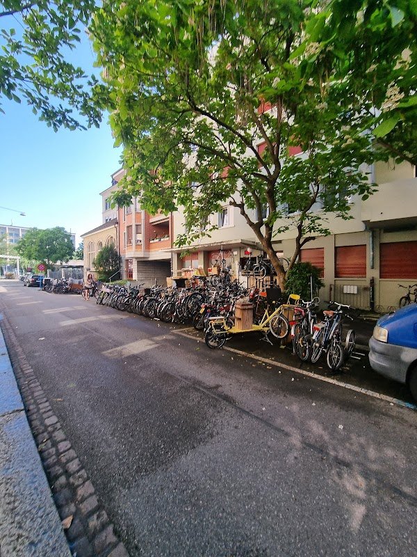 Good-Feeling Sports Int. - Photo 4