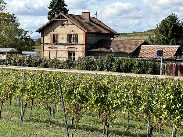 Fahrradverleih Breisach - Photo 3