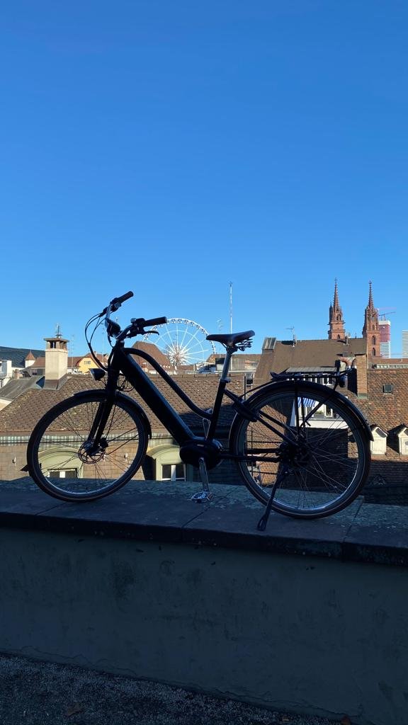 E-Bike EGO Movement Store - Photo 4