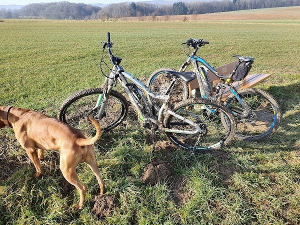 Herzog Sport AG - Photo 2