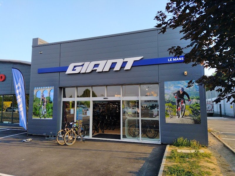 Giant Le Mans