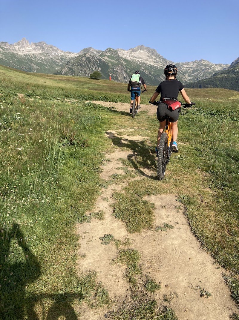 Electrikmountain bikes