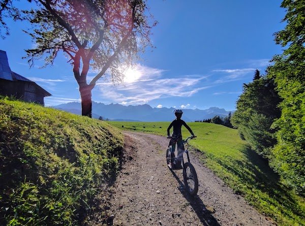 Valmo'trott - Walking In Scooter Electric Tout Terrain Sur Snow And Earth ! - Photo 3