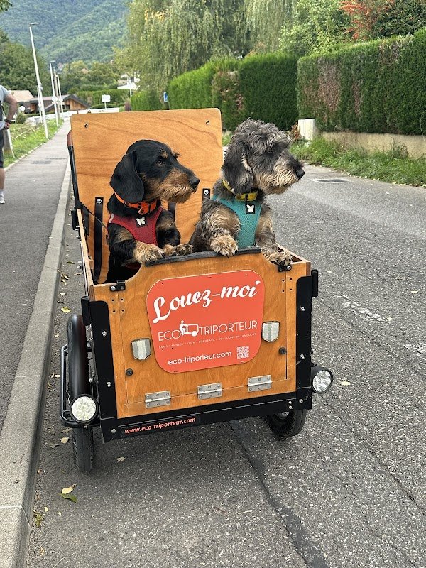 LOCATION VELO & VELO CARGO ANNECY ECO TRIPORTEUR - Photo 4