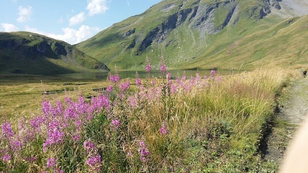 Only Ski Planibel - Noleggio e riparazione bici e sci - Negozio articoli sportivi - Photo 4