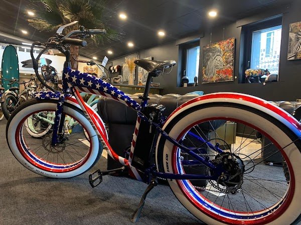 DAF-URBAN BIKE - Vélos & Trottinettes électriques Annemasse - Photo 4