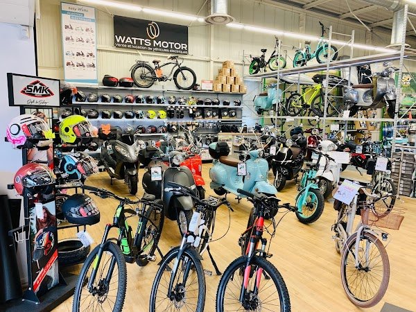 WATTS MOTOR - Photo 3