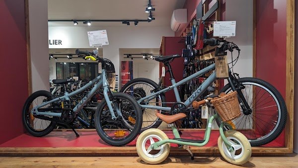 Cyclable Issy-les-Moulineaux - Photo 4