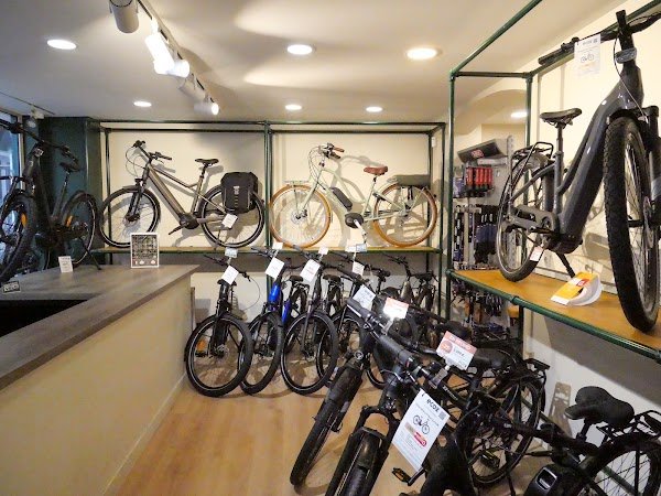 Ecox Rivoli · Magasin de Vélo Électrique - Photo 5