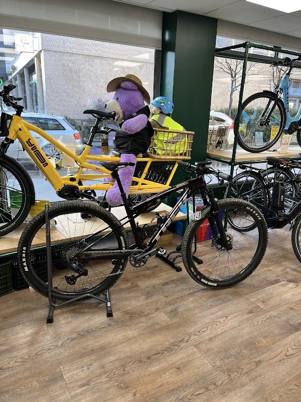 Ecox Vincennes | Magasin de Vélo Électrique - Photo 2