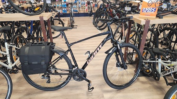 Giant City Sens - Photo 2