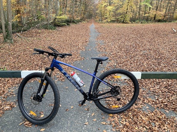 Fontainebleau Bike Shop - Photo 5