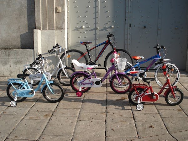 Cycles Evolution - Photo 2