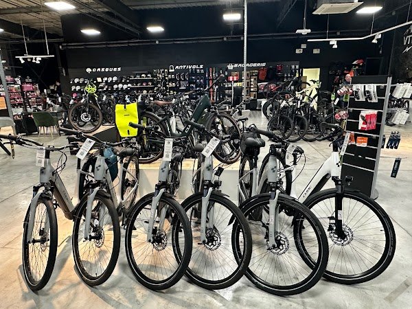 OVELO spécialiste Vélo Électrique Pontault Combault - Photo 5