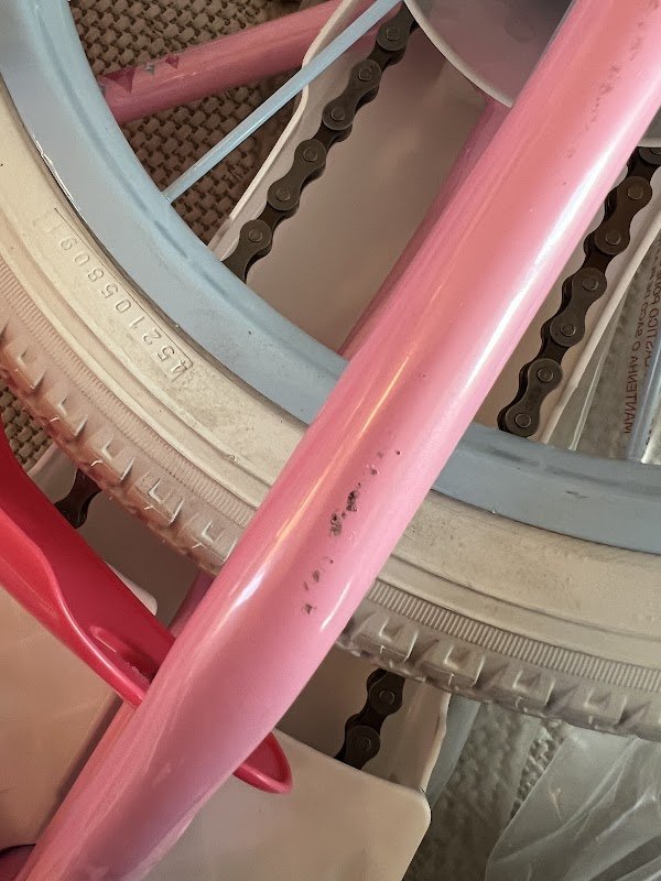 EDEN Bikes - Photo 4