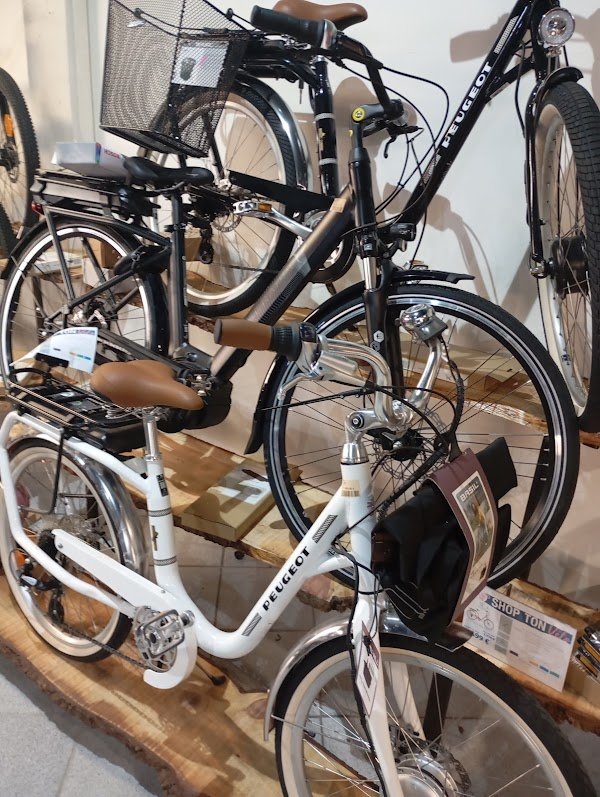 Shop Ton vélo , Shop Ta Trott , Aurel's Design Cycles - Photo 4