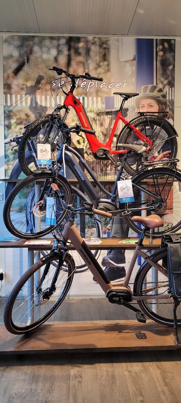 Velectrik Moov - Varennes-sur-Seine - Photo 3