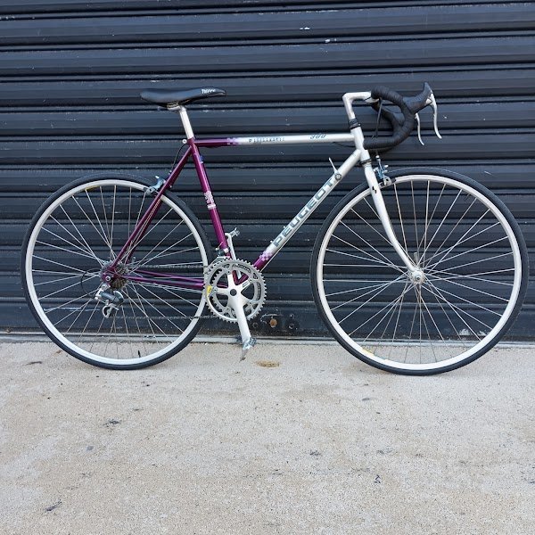 Line et Guido - Photo 4