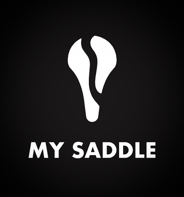 My Saddle - Photo 3