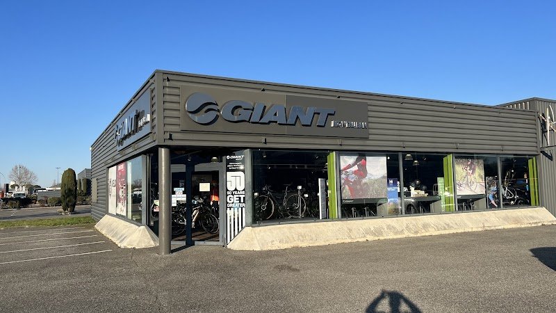Giant Montauban
