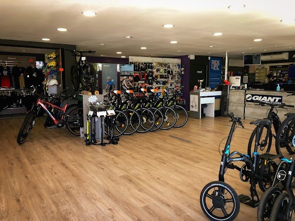 Théorem Cycles - Photo 4