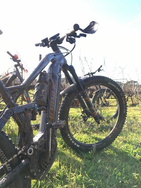 Esprit Cycles Bike Shop - Photo 4